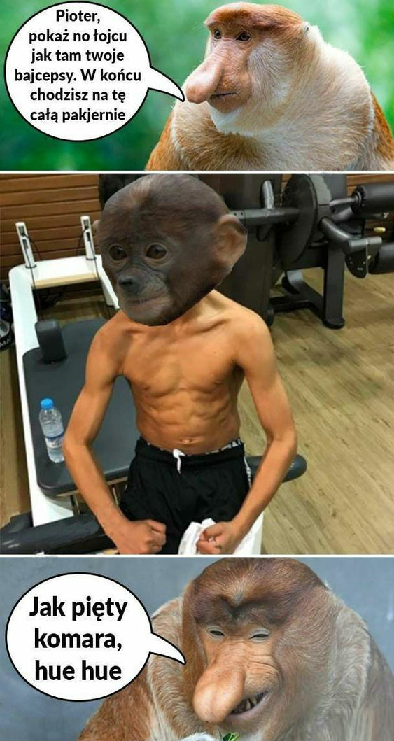Bicepsy Pioterka :D