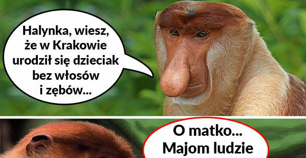 Ciekawostka od Janusza :D