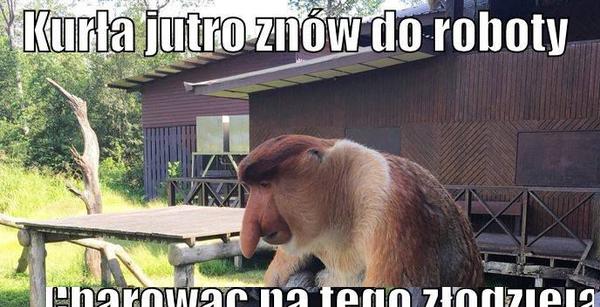 Jak żyć? :D