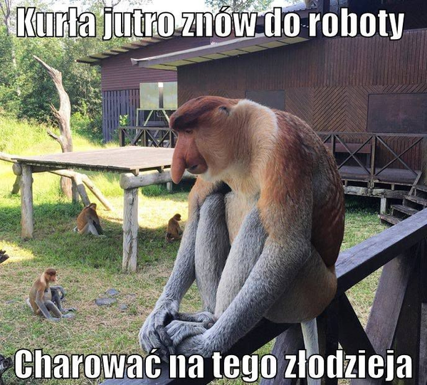 Jak żyć? :D