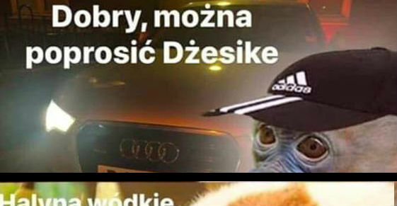 Pjoter rajdowiec :D