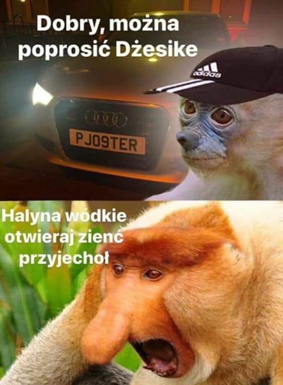 Pjoter rajdowiec :D