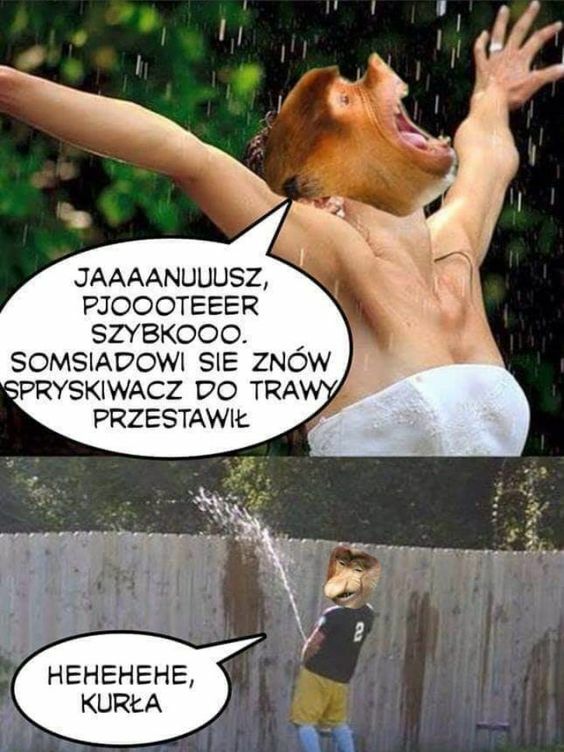 Spryskiwacz somsiada :D