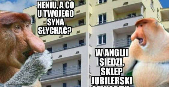 Synek w Anglii na 