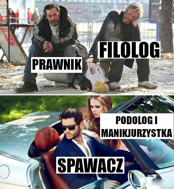 Cała prawda o zawodach