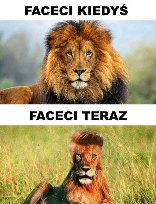 Faceci kiedyś i dziś. Trochę się zmieniło...