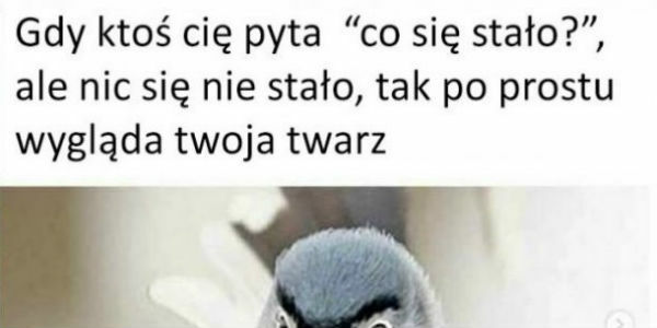 Gdy ktoś pyta :D