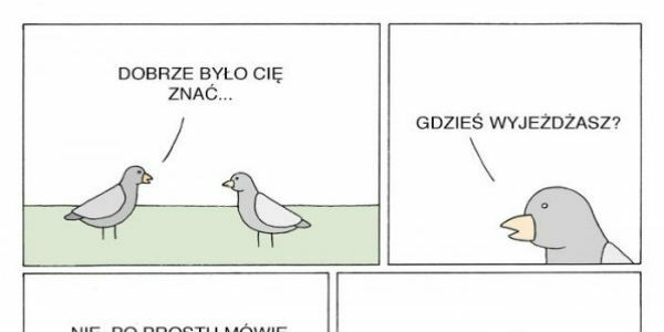 Gołębie :D 