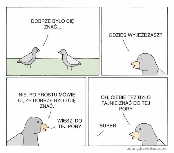 Gołębie :D 