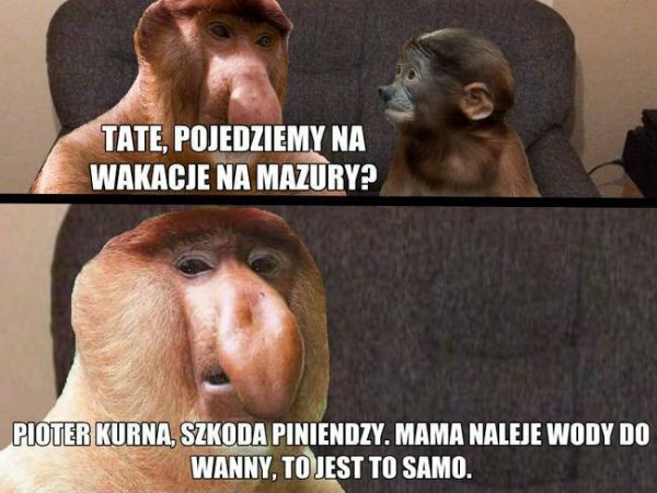 Wakacje na Mazurach