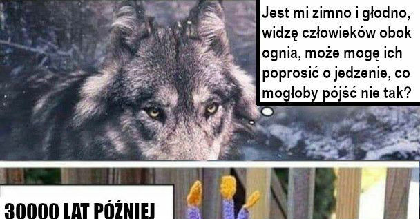 Co mogło pójść nie tak?