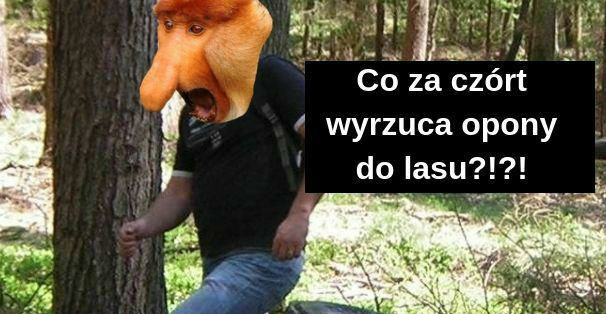 Polska na jednym obrazku