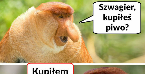 Szwagier i browarek :D