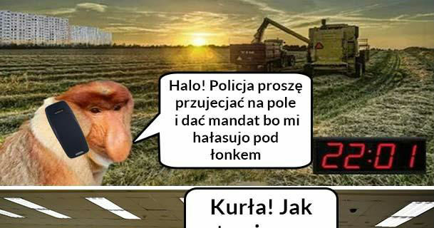 Zdziwiony?