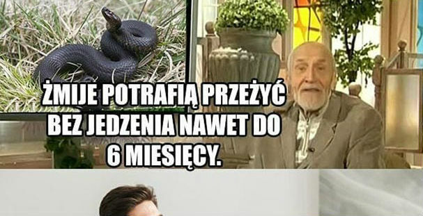 Ciekawostka o żmijach :D