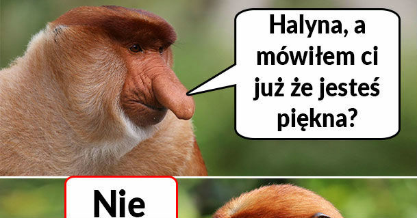 Czy Halynka jest piękna?