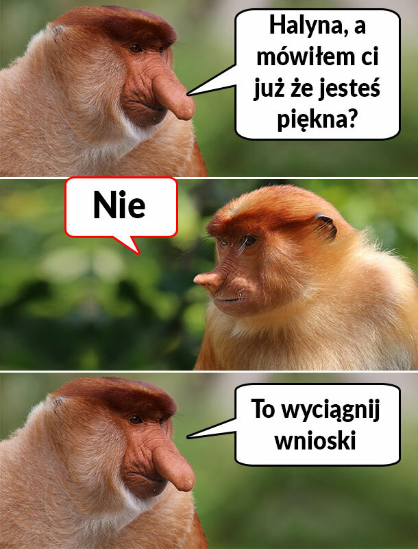 Czy Halynka jest piękna?