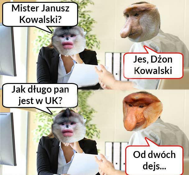 Janusz w Wielkiej Brytanii :D 