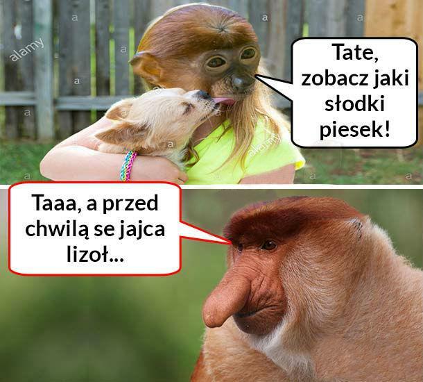 Już nie taki słodki ten piesek :D