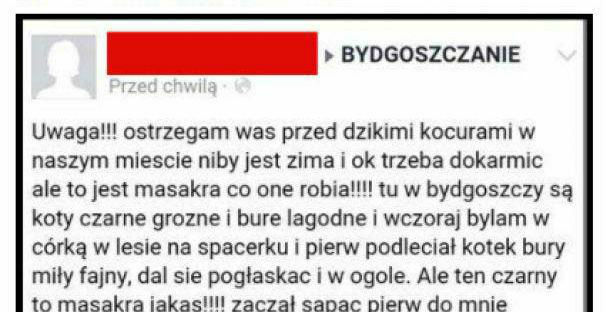 Ratuj się kto może! Koty ludojady :D