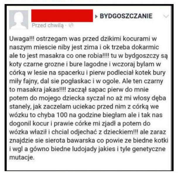 Ratuj się kto może! Koty ludojady :D