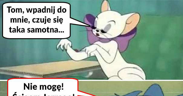 Kiedy właściciela nie ma w domu :D