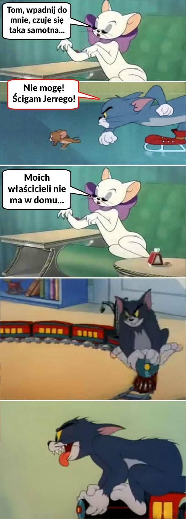 Kiedy właściciela nie ma w domu :D