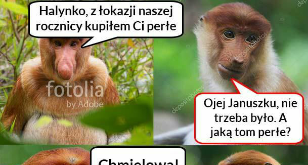 Perła na rocznicę :D
