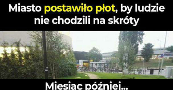 Polska na jednym obrazku