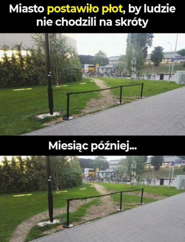 Polska na jednym obrazku