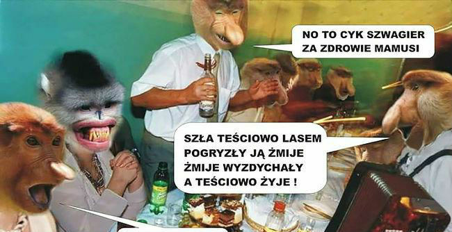 Przyśpiewki Januszowe :D