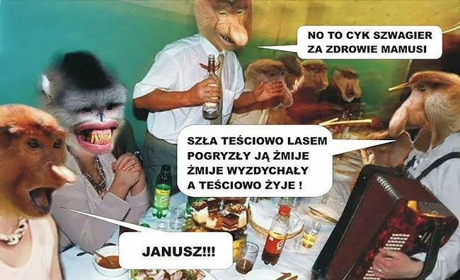 Przyśpiewki Januszowe :D