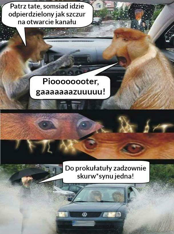 Kiedy w ulewę spotkasz somsiada :D