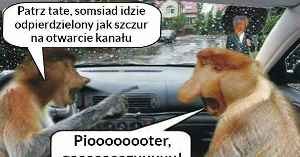 Kiedy w ulewę spotkasz somsiada :D