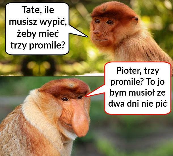 Trzy promile u Janusza
