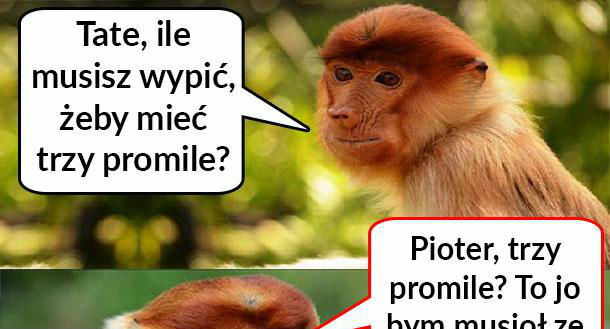 Trzy promile u Janusza