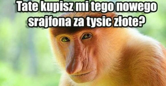 Nowy s*ajfon, znaczy iPhone :P