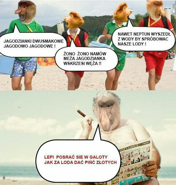 Genialna riposta Janusza :D