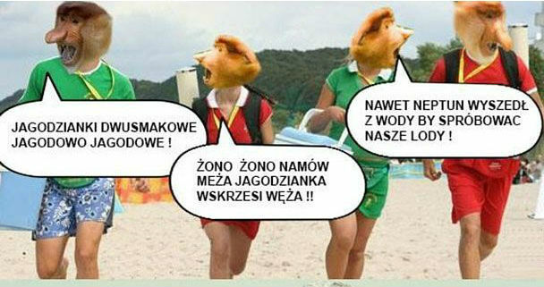 Genialna riposta Janusza :D