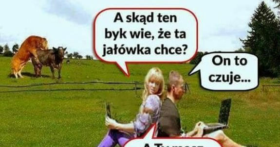 Ochota na małe co nieco :D