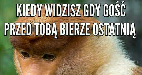 Januszowy smuteczek