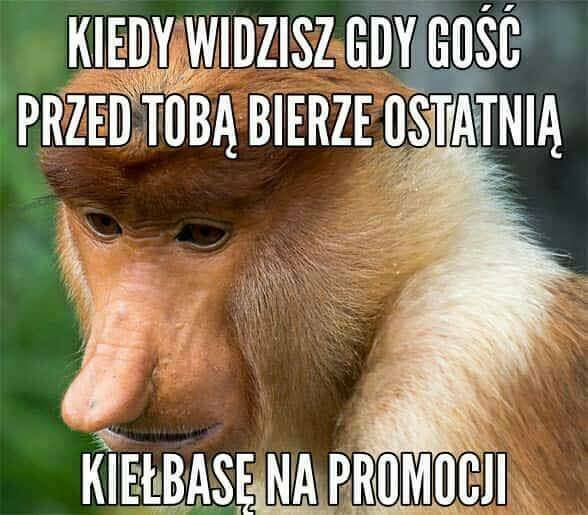 Januszowy smuteczek