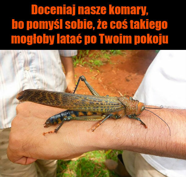 Zawał na miejscu