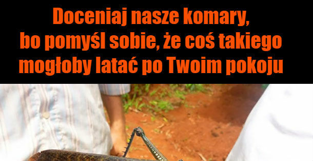 Zawał na miejscu