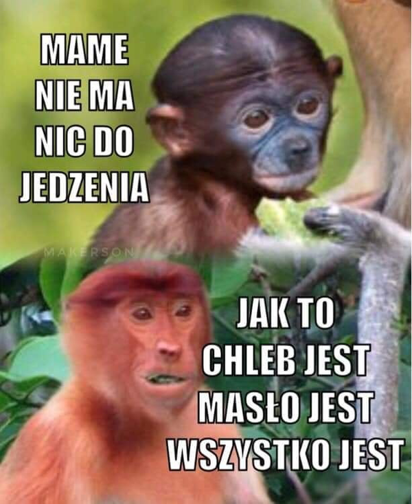 Kiedy lodówka świeci pustkami :D