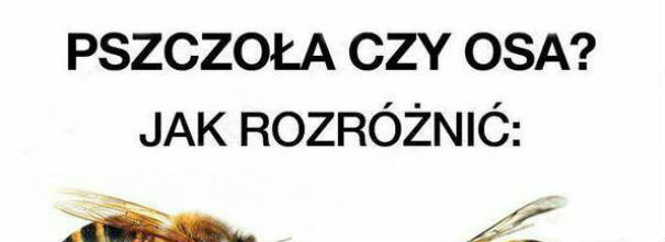 Jak dla mnie bez różnicy
