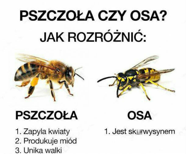 Jak dla mnie bez różnicy