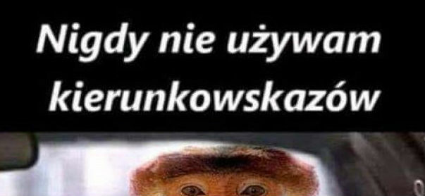 To moja sprawa!