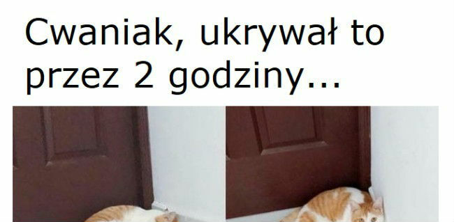 No nie pogadasz