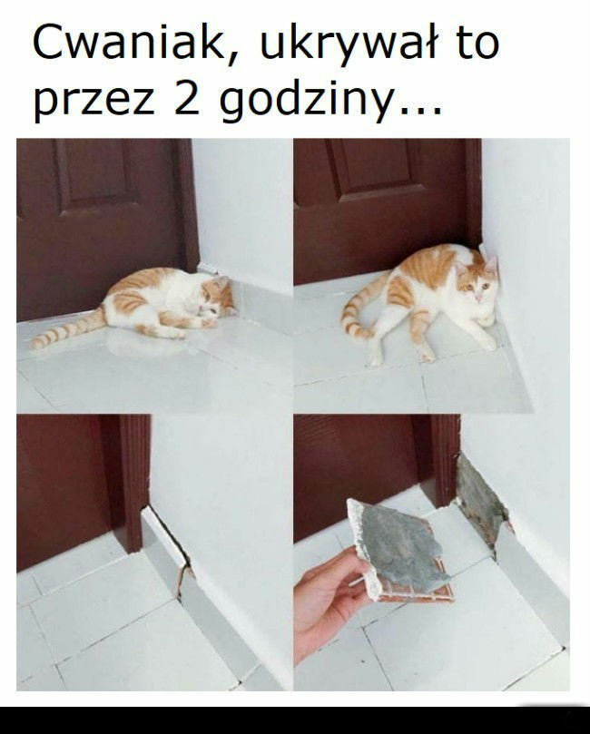 No nie pogadasz